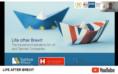 Webinar – Brexit: Implications for Insurance