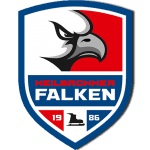 International insurance broker Hörtkorn - Social commitment - Heilbronner Falken International insurance broker Hörtkorn - Social commitment - Heilbronner Falken